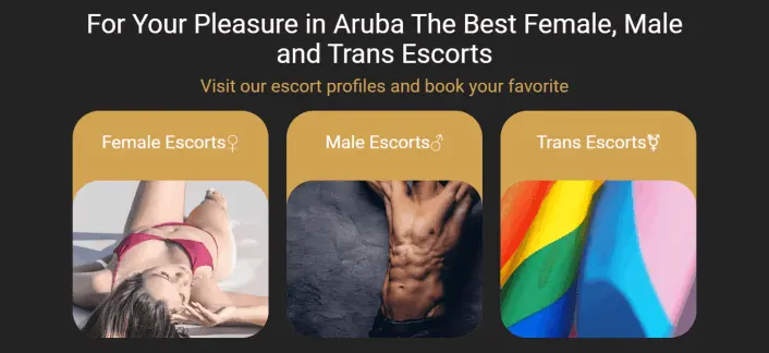 Pleasure In Aruba Escorts